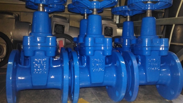 Задвижка МЗВ (30ч39р) 50 мм PN16